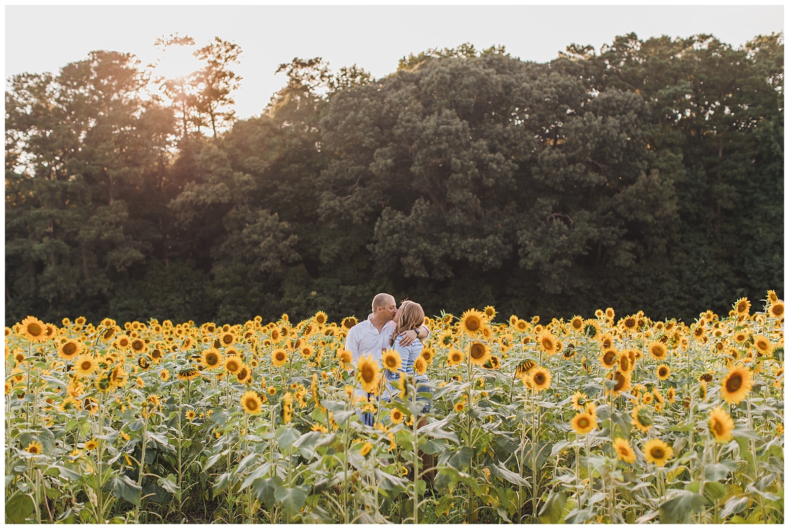 sunflower-field-engagement-session-smithfield-virginia-wedding-photographer_0005.jpg