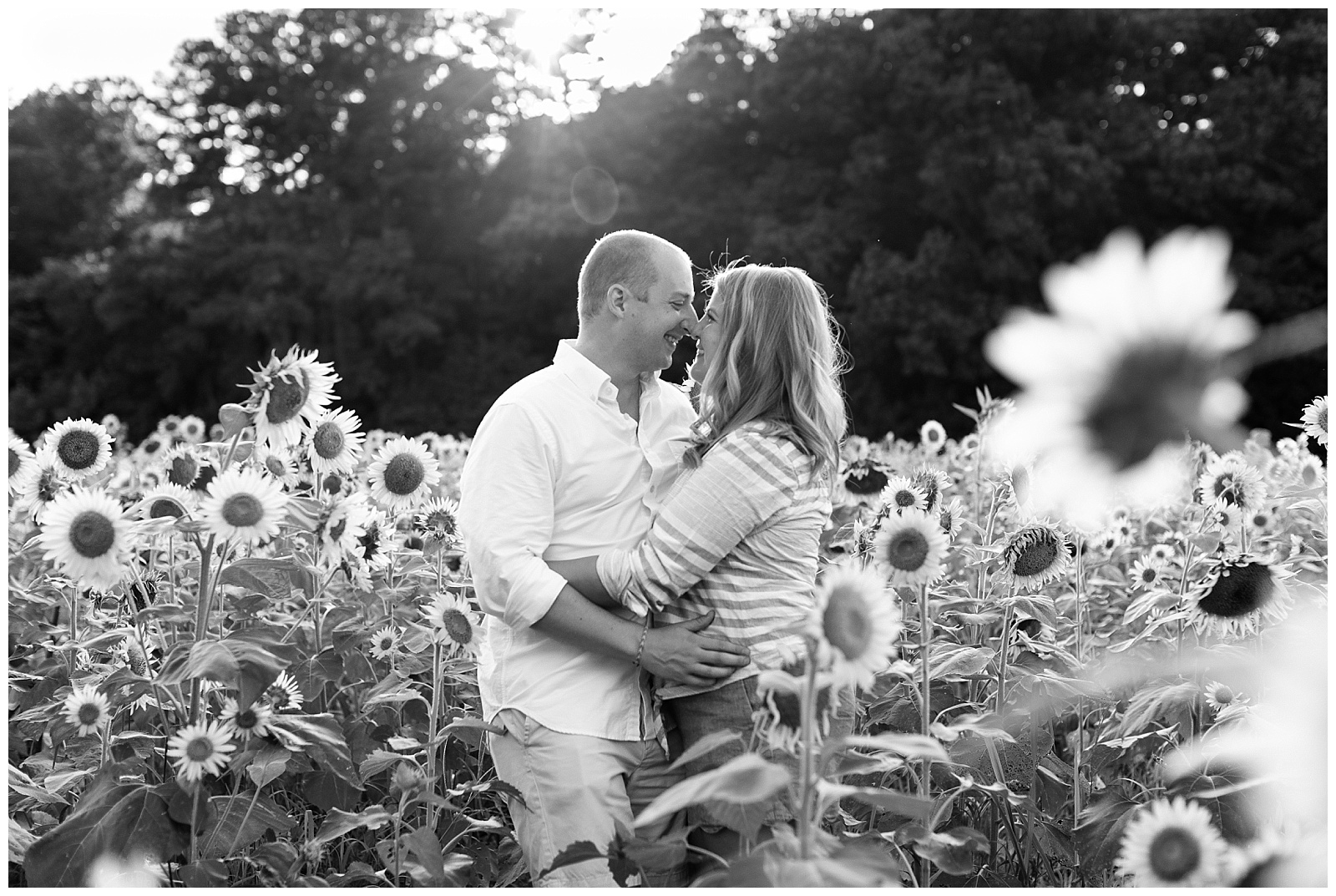 sunflower-field-engagement-session-smithfield-virginia-wedding-photographer_0009.jpg