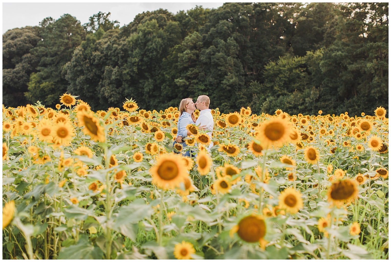 sunflower-field-engagement-session-smithfield-virginia-wedding-photographer_0021.jpg